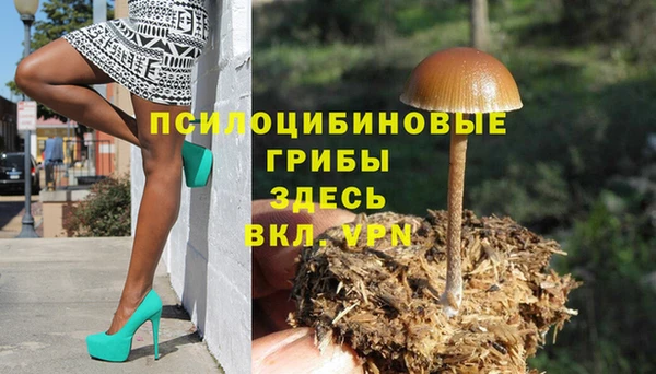 скорость Россошь