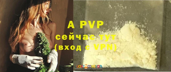 крисы Рославль